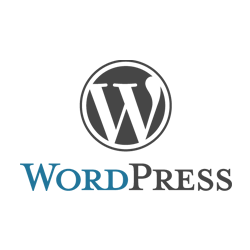 wordpress250x250 Mantén tu Wordpress actualizado y evita problemas