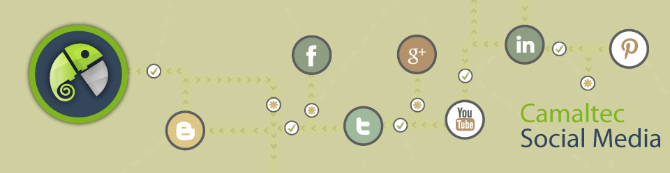 Gestión de redes sociales