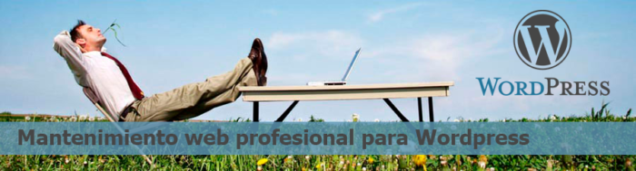 Mantenimiento web para Wordpress