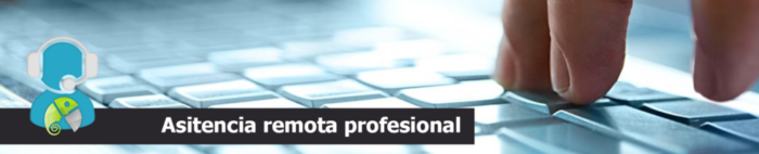 Asistencia remota profesional