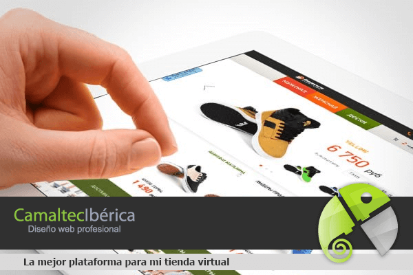 Tienda Virtual Profesional