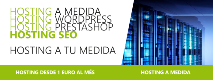 hosting medida 1 Hosting a medida