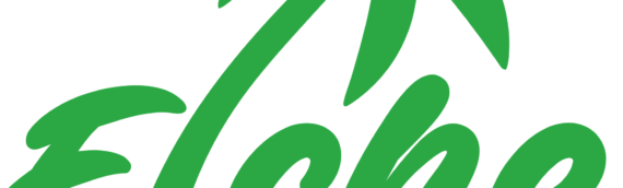Nuevo logo para elcheonline.es