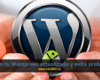 manten tu wordpress actualizado evita problemas 100x80 c Mantenimiento Web