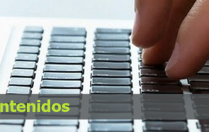 Pack de 10 Articulos de 500 palabras cada uno