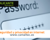 Seguridad y privacidad en internet 100x80 c Diseño web en Alicante y desarrollo web en Alicante
