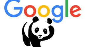 Google Panda es quien manda 300x160 c Posicionamiento web Zaragoza