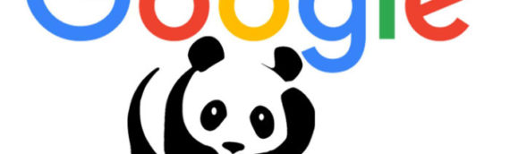 Google Panda es quien manda